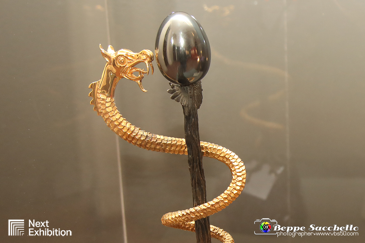 VBS_7733 - Salvador Dalì - The Exhibition.jpg